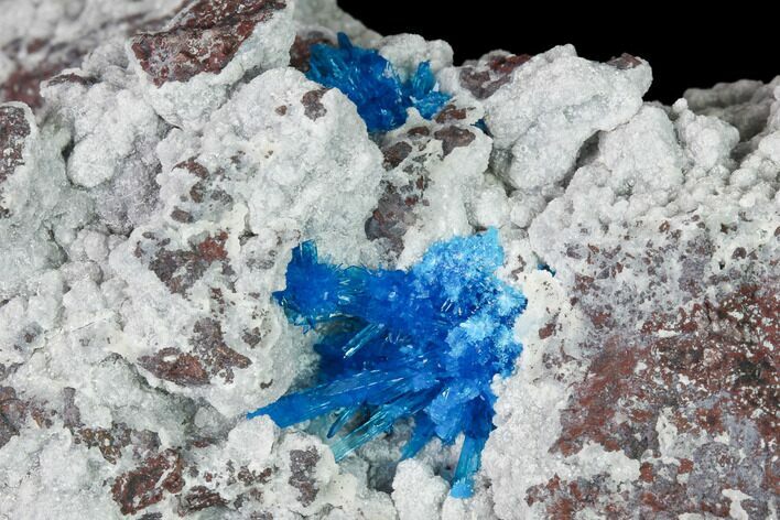 Vibrant Blue Cavansite Clusters on Stilbite - India #168257